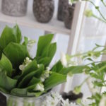 季節の花内容お任せで毎月お届け ¥3,500~