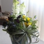 arrangement 〜 A mix of lowers and potted plants