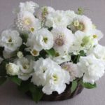 arrangement