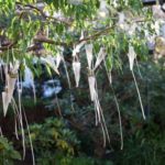 会場をお花で飾ります ご予算ご対応いたします