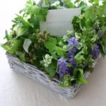 arrangement W40/D40cm