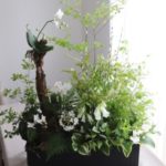 arrangement H120cm